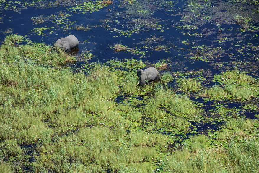 Sitatunga Private Island Camp