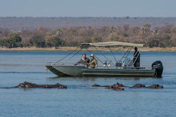 Toka Leya Camp Toka Leya Camp: Beobachtung Flusspferde