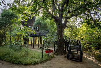 Treehouse Hideaway: Baumhaus mit Treppe und Brücke