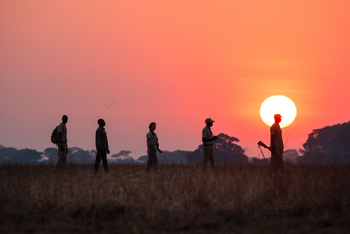 Chisa Busanga Camp Chisa Busanga Camp: Walking Safari