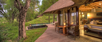 Dulini Leadwood: Deck und Plunge Pool