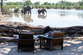 Elephant Pan Camp: Sessel