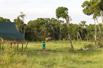 Elewana Elephant Pepper Camp Elewana Elephant Pepper Camp: Elefantenbesuch