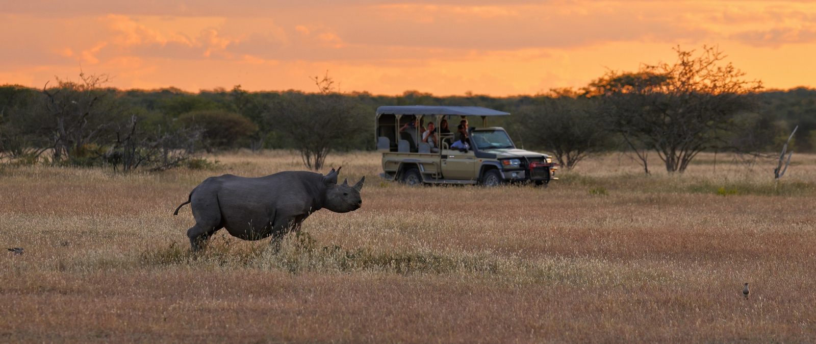 Etosha Heights Game Reserve Etosha Heights Game Reserve