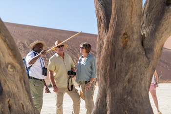 Hoodia Desert Lodge: Baumskelett