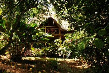 Kibale Forest Camp: Tropischer Garten