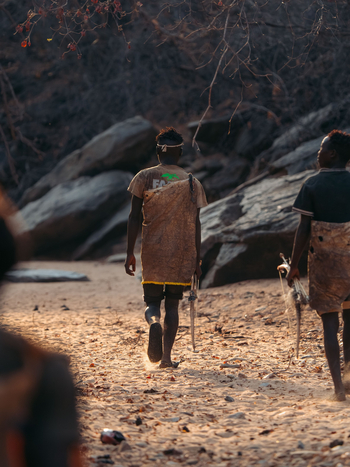 Kisima Ngeda Camp: Hadzabe-Jagd