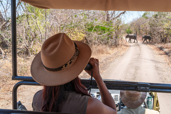 Kuthengo Camp: Elefanten auf der Piste
