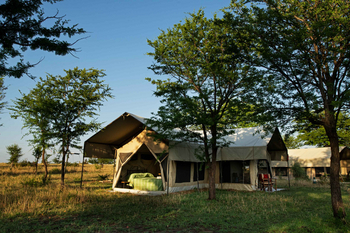 Mara Kati Kati Tented Camp: Offenes Zelt mit Bett im Morgengrauen