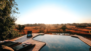 Mukambi Fig Tree Bush Camp: Poolbereich
