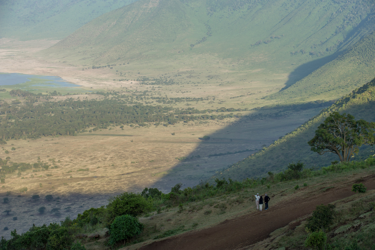Ngorongoro Serena Safari Lodge
