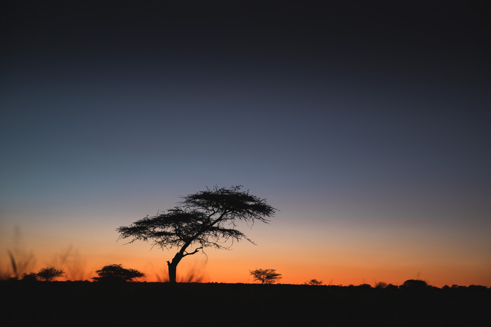 Old Traders Lodge Old Traders Lodge: Landschaft