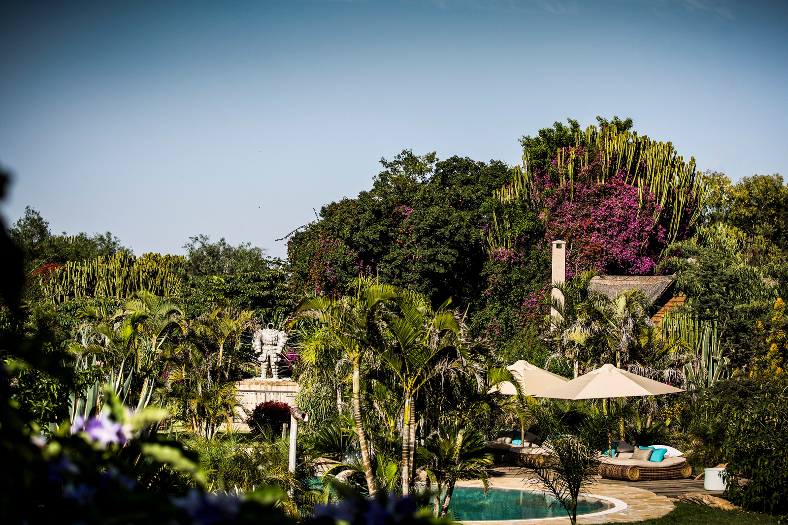 Segera Retreat Segera Retreat: Garten