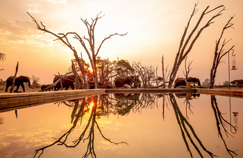 The Hide: Private Hide