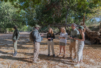 Time + Tide South Luangwa Time + Tide South Luangwa: Walking Safari