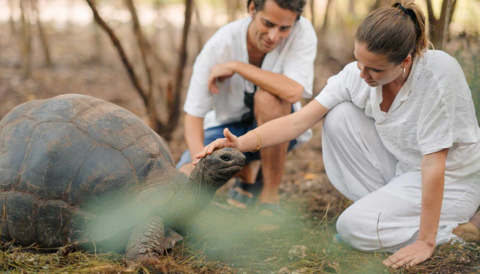 Xanadu Villas Xanadu Villas: Schildkröten