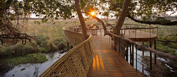 andBeyond Sandibe Okavango Safari Lodge: Aussichtsdeck