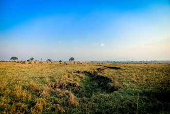 Adere Safari Lodge: Savanne