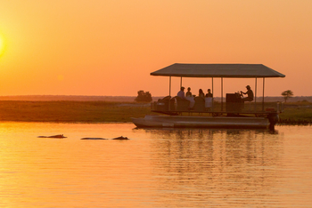 Chobe Savanna Lodge: Sundowner Cruise