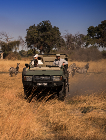 Duke's Camp: Game Drive