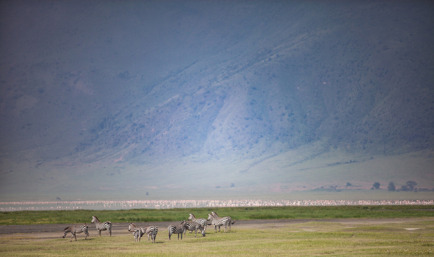 Elewana The Manor at Ngorongoro
