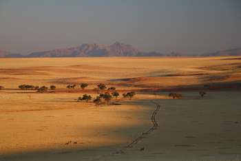 Kwessi Dunes: Landschaft am Abend