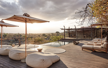 Legendary Mwiba Lodge: Swimming Pool