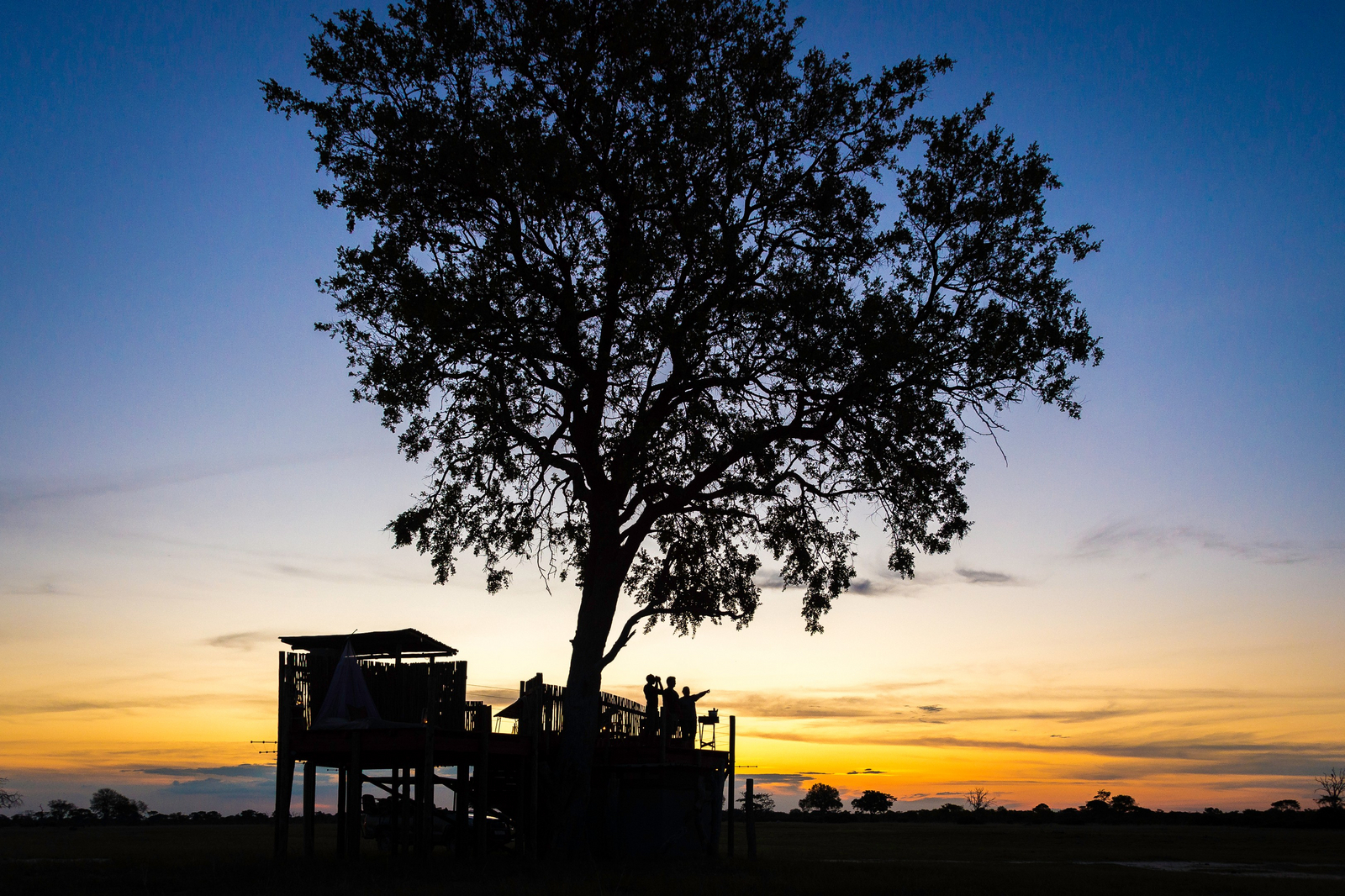 Linkwasha Camp Linkwasha Camp: Sleep-out Deck