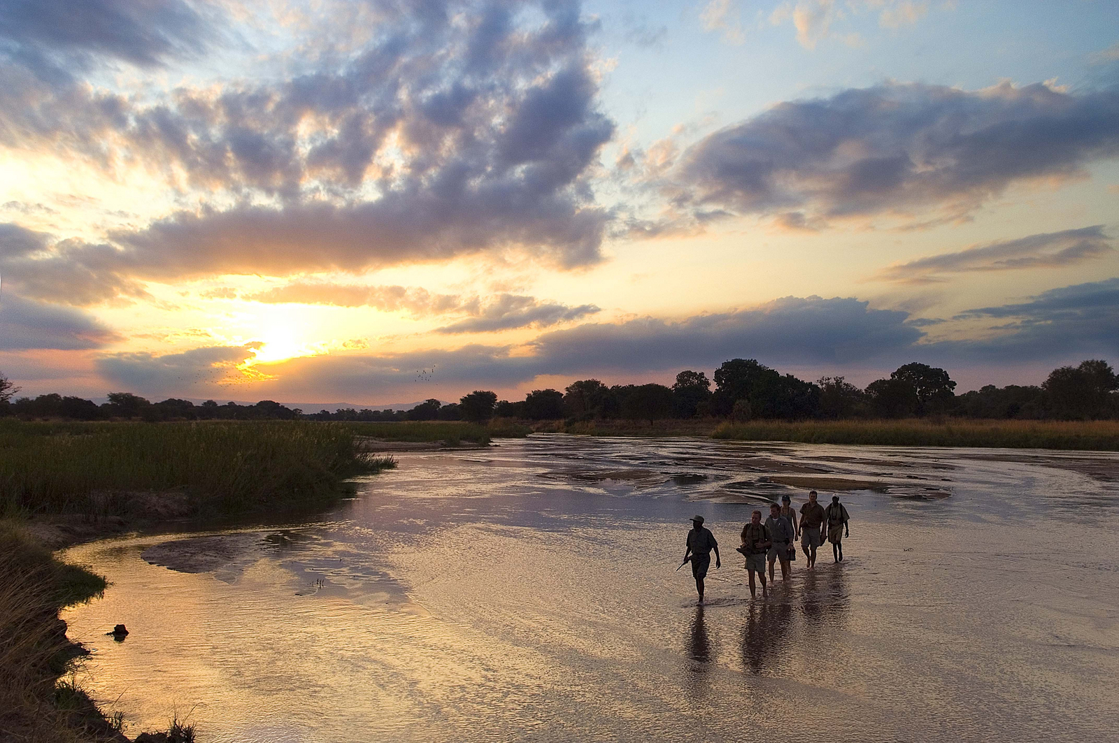 Luangwa Bush Camping Luangwa Bush Camping: Walking Safari