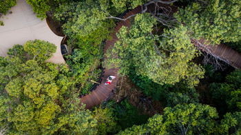Mara Toto Tree Camp: Steg durch das Gelände