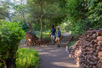 Mashatu Main Camp: Pfad durch das Gelände