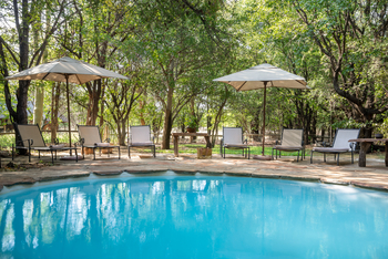 Mashatu Tent Camp: Pool