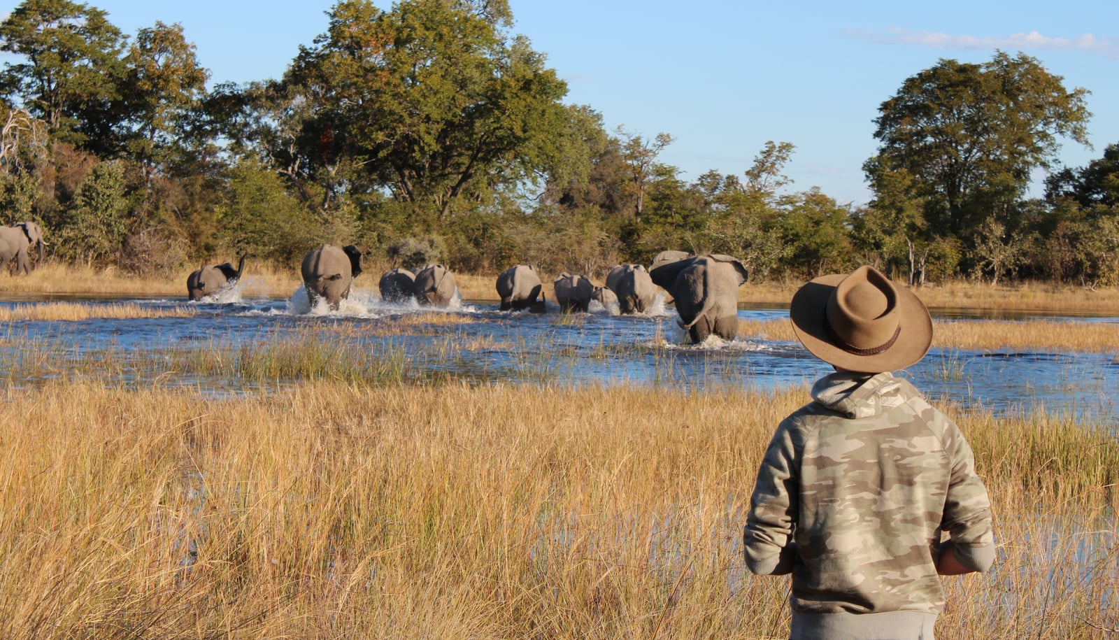 Motswiri Camp Motswiri Camp