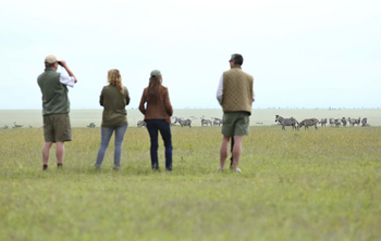 Ol Pejeta Bush Camp: Beobachtung von Zebras