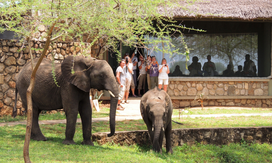 Tarangire Safari Lodge