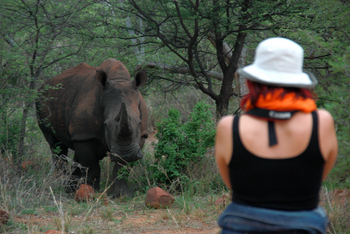 Waterberg Plateau Lodge Waterberg Plateau Lodge: Nashorn auf kurze Distanz