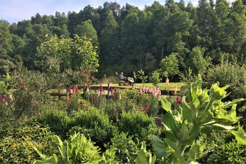 andBeyond Vira Vira Lodge: Im Biogarten