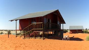 Bagatelle Kalahari Game Ranch: Springbok neben einem Chalet