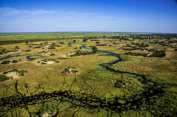 Duba Plains Camp: Ahnung eines Wasserlaufes