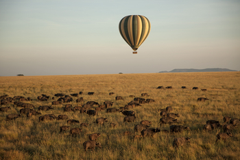 Four Seasons Safari Lodge: Ballonfahrt