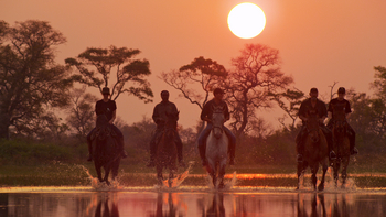 Kujwana Camp: Ritt in der Morgendämmerung