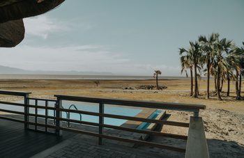 Maramboi Tented Lodge: Palmen am See-Ufer