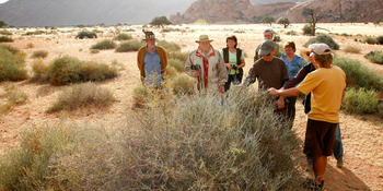 Namtib Desert Lodge: Geführte Wanderung