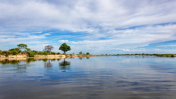 Ndhovu Safari Lodge: Flusslandschaft