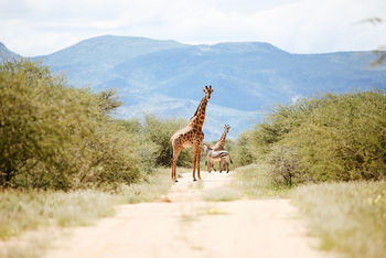 Old Traders Lodge: Aktivitäten