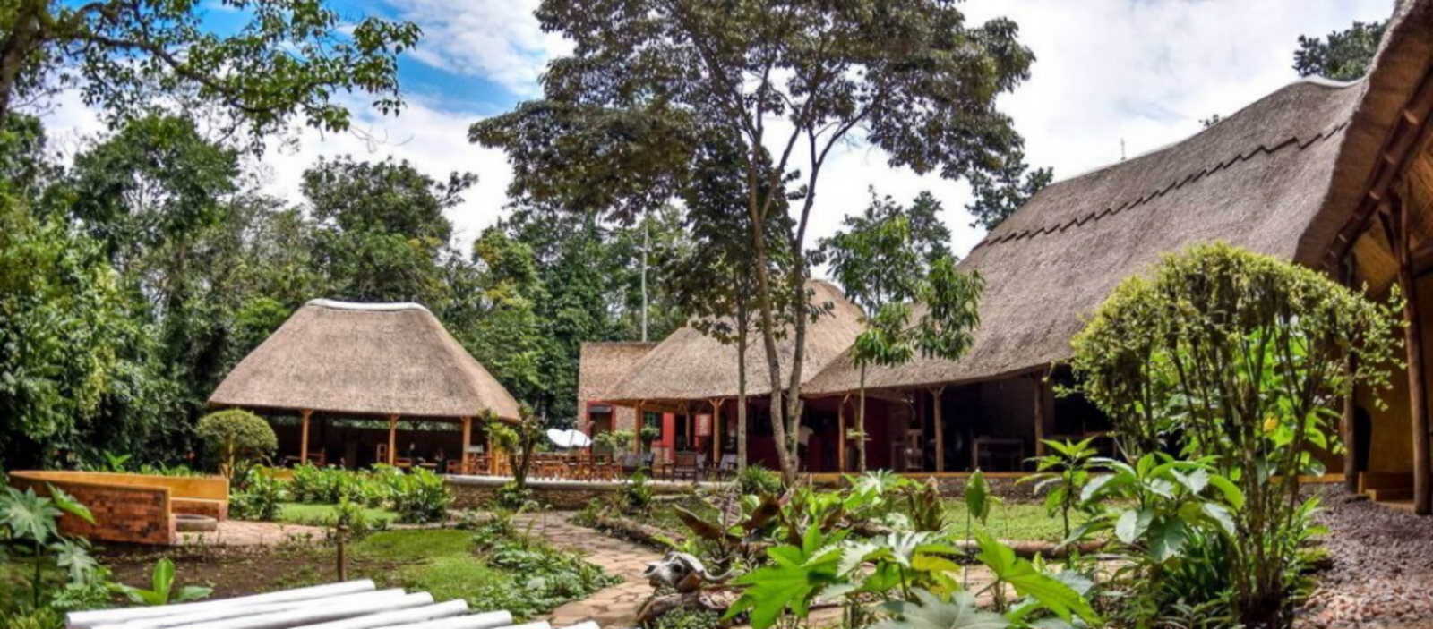 Primate Lodge Primate Lodge