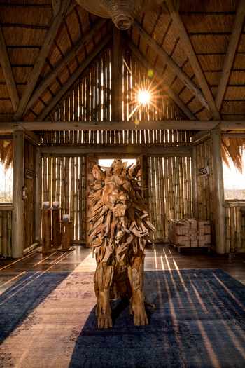 Sitatunga Private Island Camp: Sonnenstrahlen auf Löwenstatue