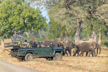 Time + Tide South Luangwa Time + Tide South Luangwa: Game Drives