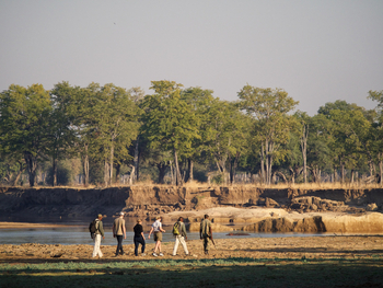 Time + Tide South Luangwa Time + Tide South Luangwa: Walking Safari