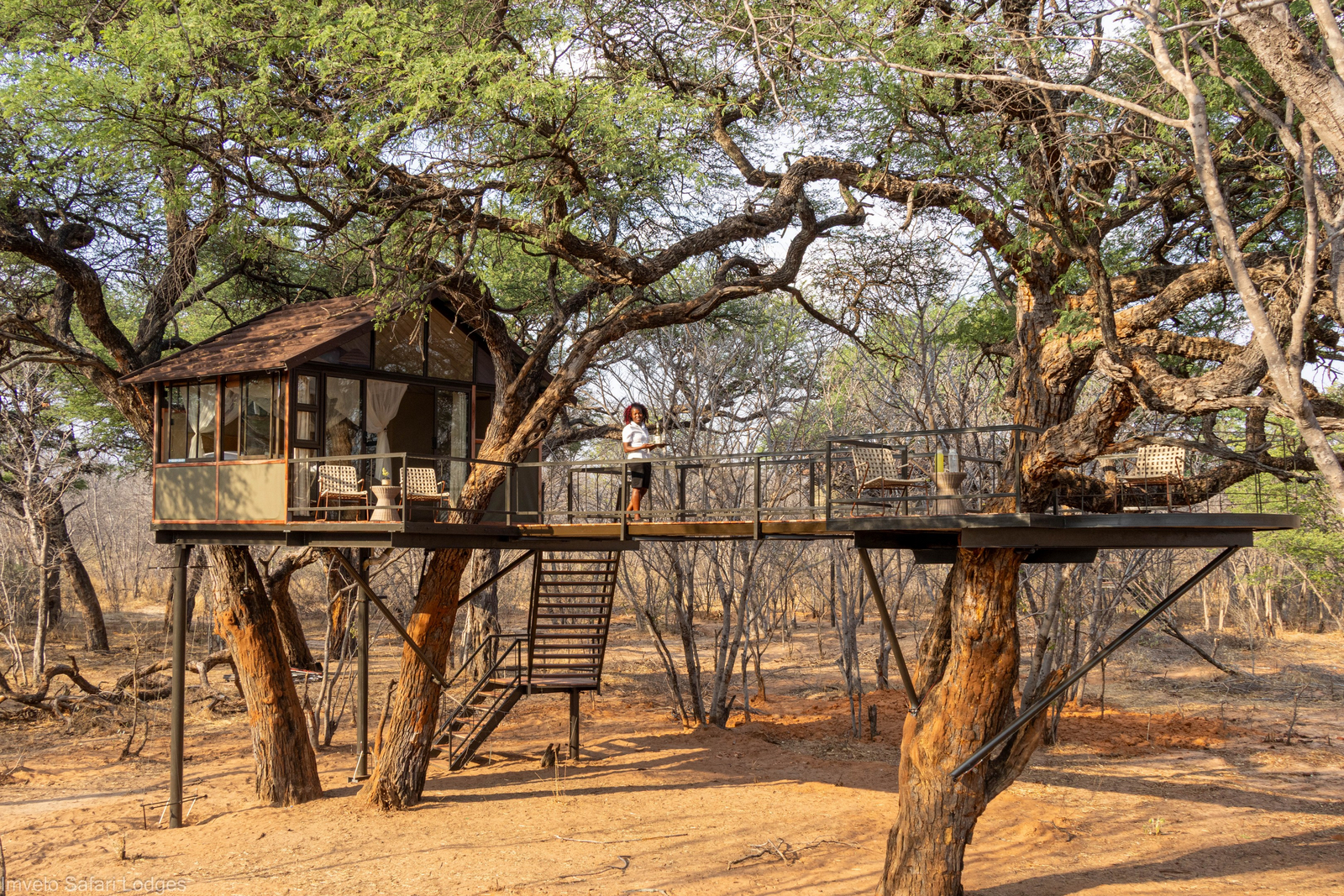 Tum Tum Treehouse Lodge Tum Tum Treehouse Lodge: Treehouse Goshawk